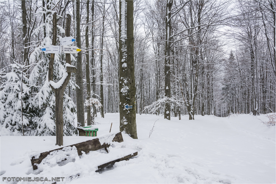 żóty niebieski szlak na Jałowiec Beskid Makowski zima w górach