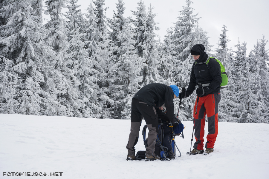 niebieski szlak na Jałowiec Hala Trzebuńska Beskid Makowski zima w górach