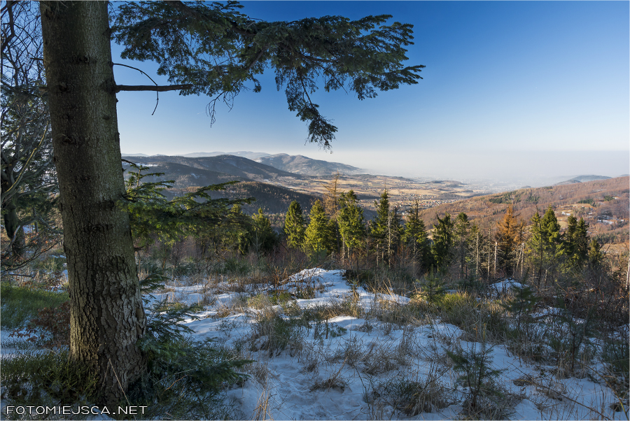 2017 01 01 leskowiec 2381