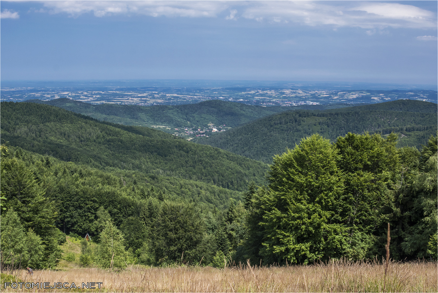 2019 07 28 leskowiec 0959