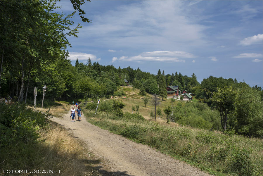 2019 07 28 leskowiec 0970