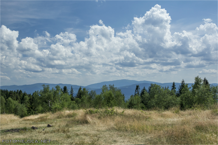 2019 07 28 leskowiec 0976