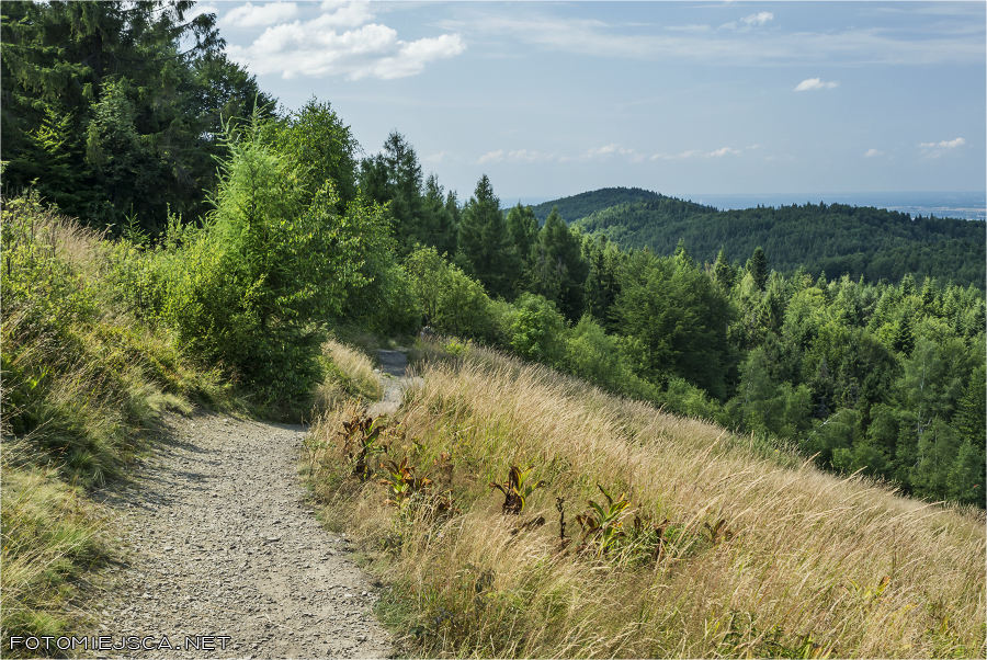 2019 07 28 leskowiec 0981