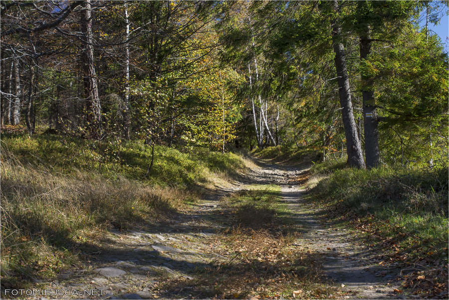 2019 10 20 magurka wilkowicka 1873