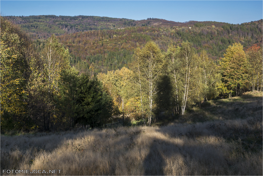 2019 10 20 magurka wilkowicka 1914