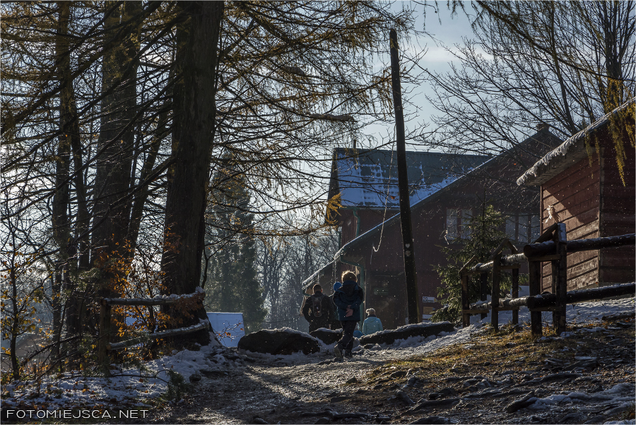 2019 11 11 leskowiec 2012