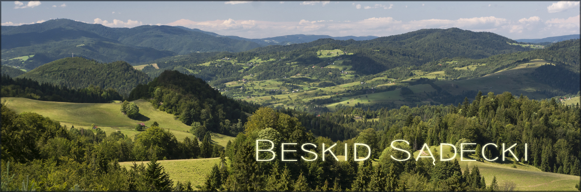 DSC 4199 header beskid sadecki
