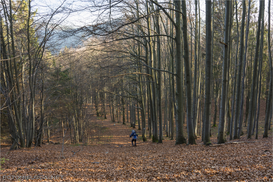 2014 11 02 mala wielka rycerzowa 3311