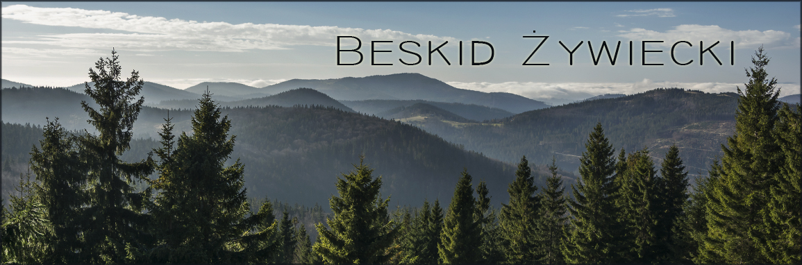 DSC 3281 header beskid zywiecki