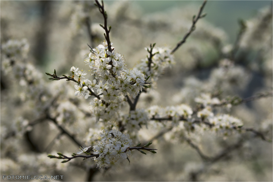 2018 04 22 luban 6761
