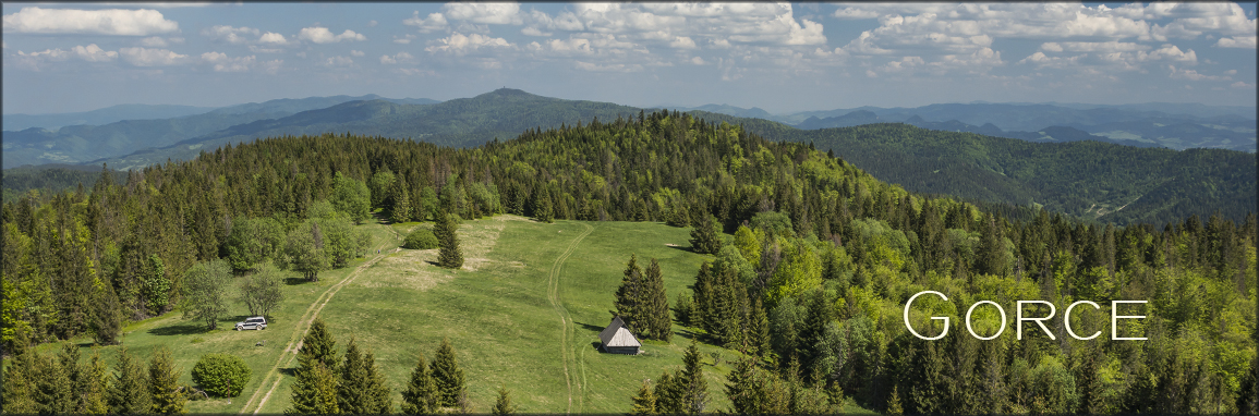 DSC 7228 header gorce