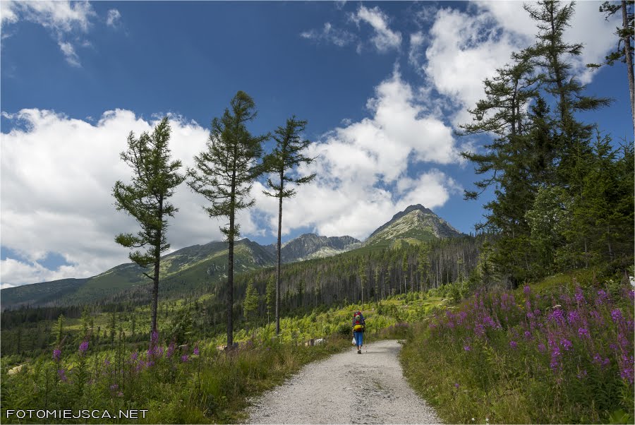 Tatry Wysokie Dolina Furkotna Magistrala Tatrzańska