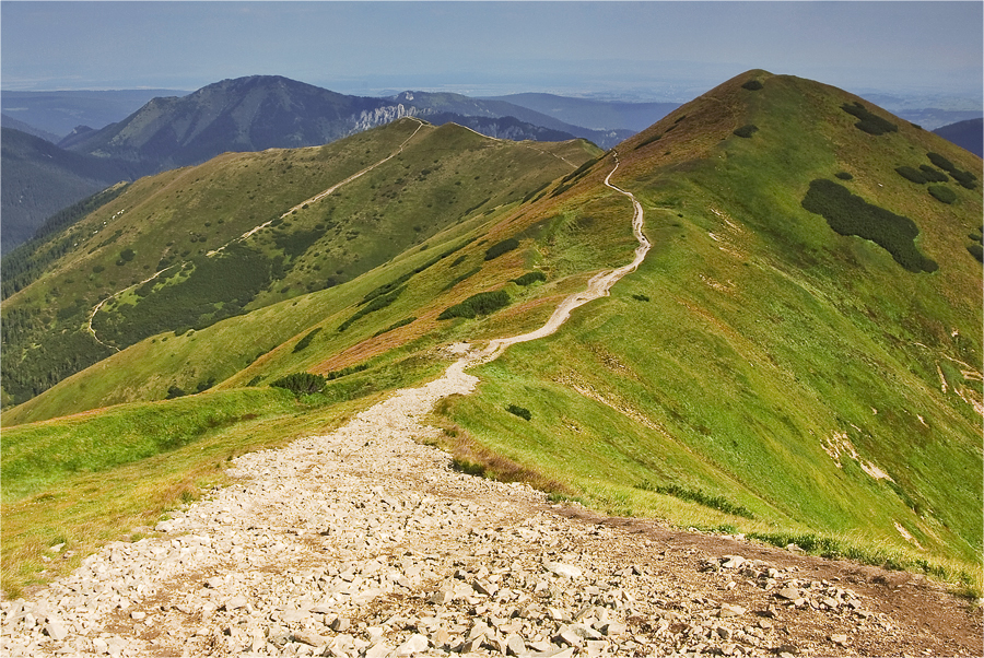 Bobrowiec Trzydniowiański Wierch Czubik Tatry Zachodnie